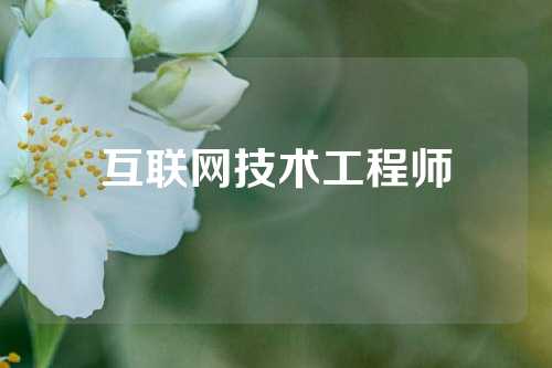 互联网技术工程师