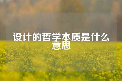 设计的哲学本质是什么意思