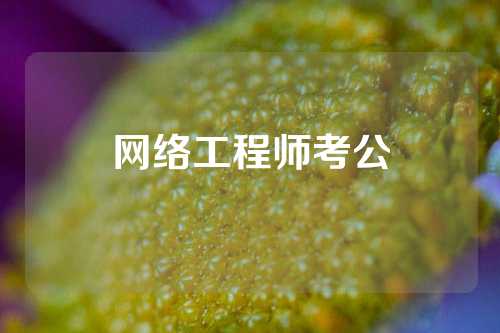 网络工程师考公