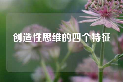 创造性思维的四个特征