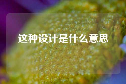 这种设计是什么意思