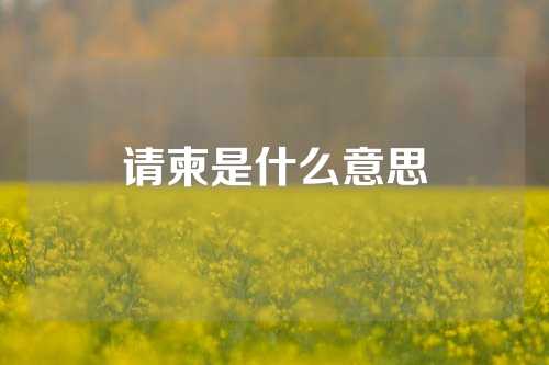 请柬是什么意思