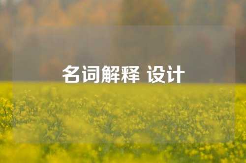 名词解释 设计