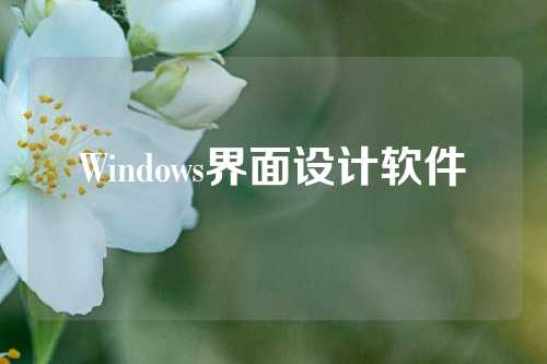 Windows界面设计软件