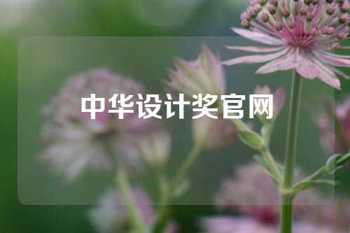 中华设计奖官网