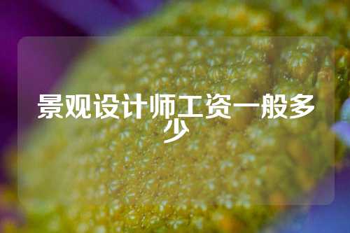 景观设计师工资一般多少