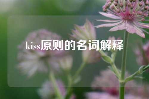 kiss原则的名词解释