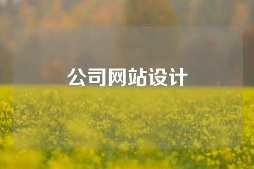 公司网站设计