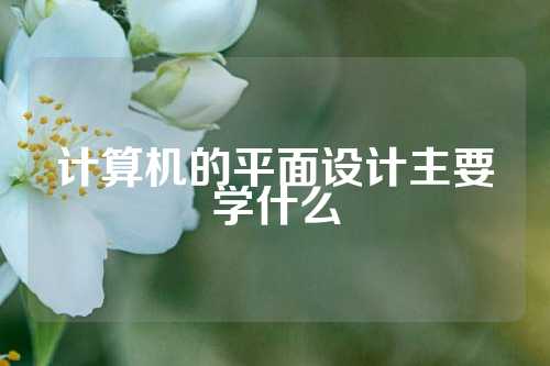 计算机的平面设计主要学什么