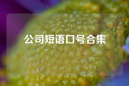 公司短语口号合集