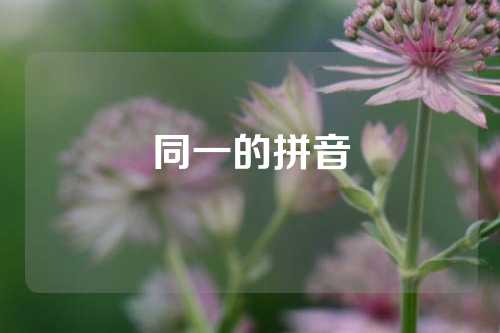 同一的拼音