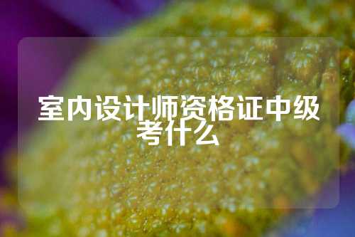 室内设计师资格证中级考什么