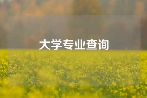 大学专业查询