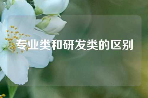 专业类和研发类的区别