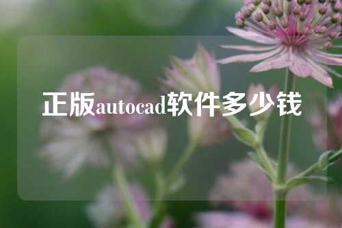 正版autocad软件多少钱