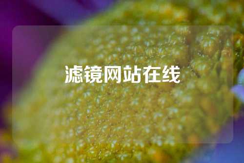 滤镜网站在线