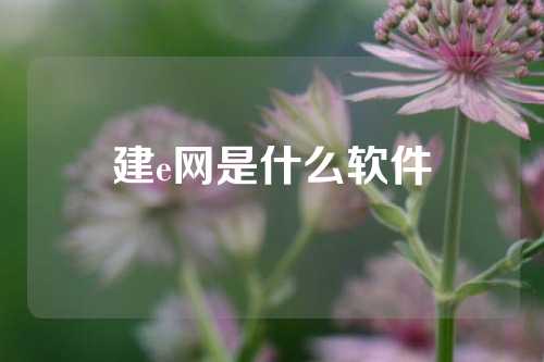 建e网是什么软件