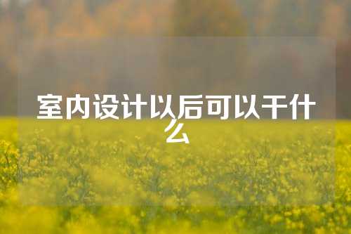 室内设计以后可以干什么