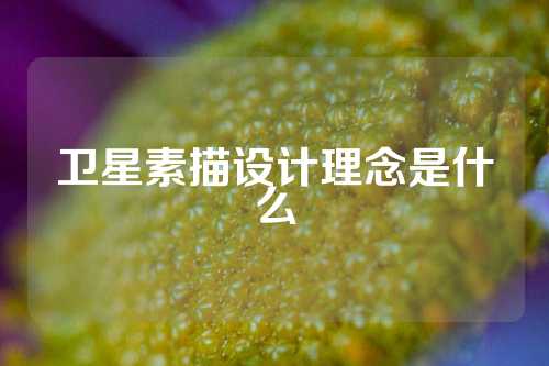 卫星素描设计理念是什么