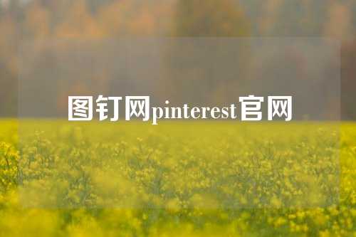 图钉网pinterest官网