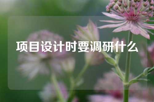 项目设计时要调研什么