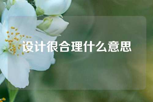 设计很合理什么意思