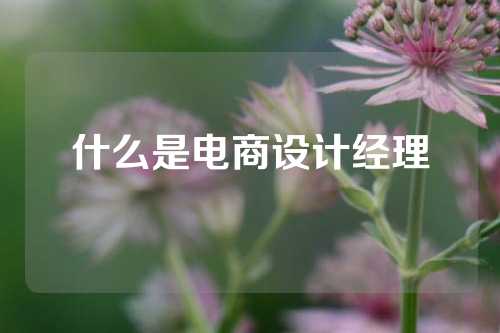 什么是电商设计经理