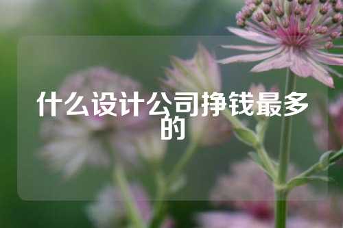 什么设计公司挣钱最多的