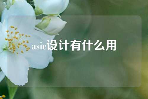 asic设计有什么用