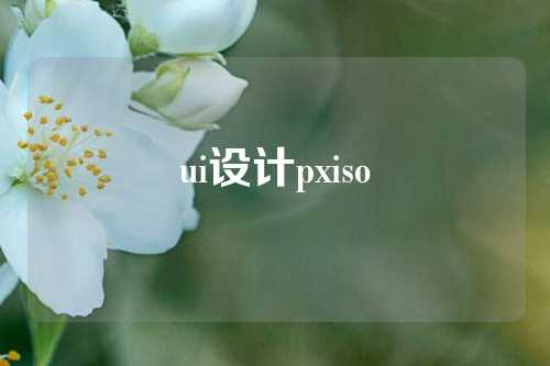 ui设计pxiso