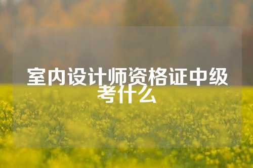 室内设计师资格证中级考什么