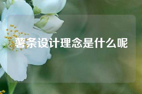 薯条设计理念是什么呢