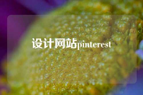 设计网站pinterest