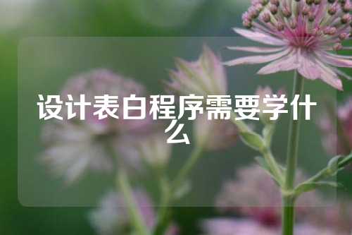 设计表白程序需要学什么