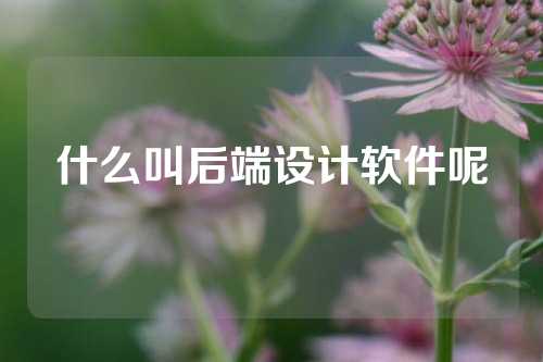 什么叫后端设计软件呢