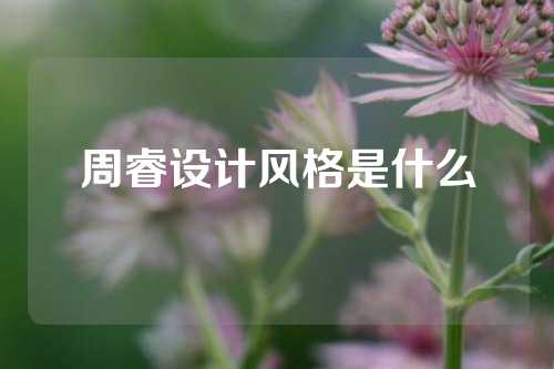 周睿设计风格是什么