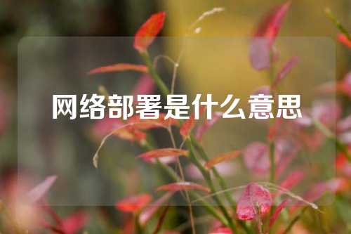 网络部署是什么意思