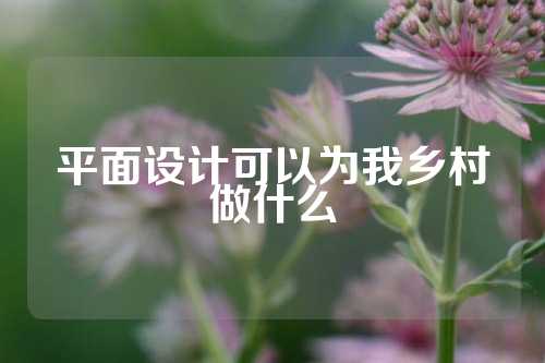 平面设计可以为我乡村做什么