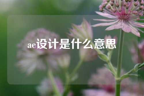 ae设计是什么意思