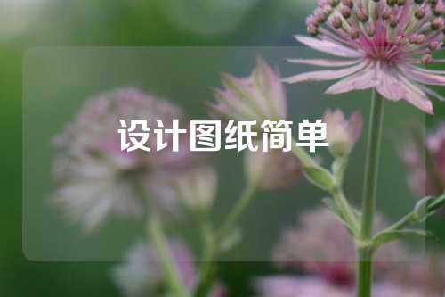 设计图纸简单