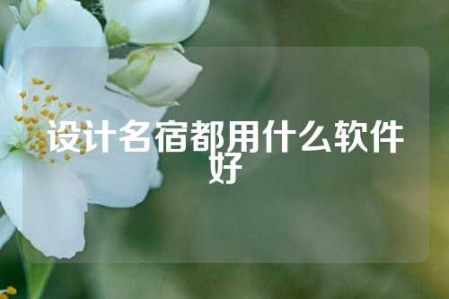 设计名宿都用什么软件好