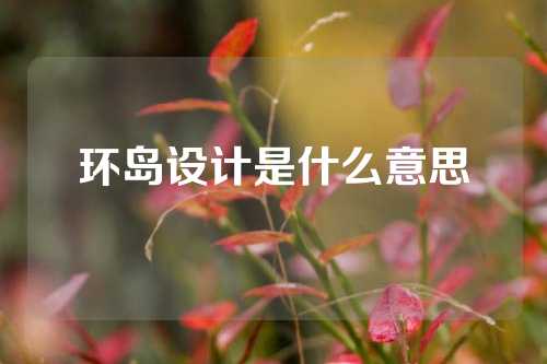 环岛设计是什么意思