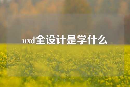 uxd全设计是学什么