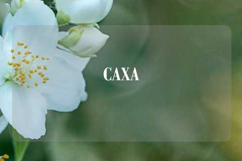 CAXA