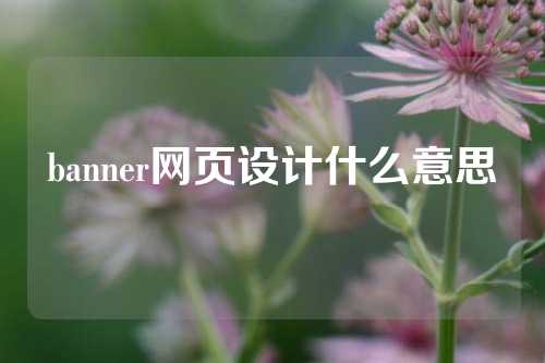 banner网页设计什么意思