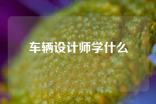 车辆设计师学什么