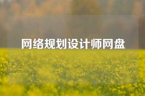 网络规划设计师网盘