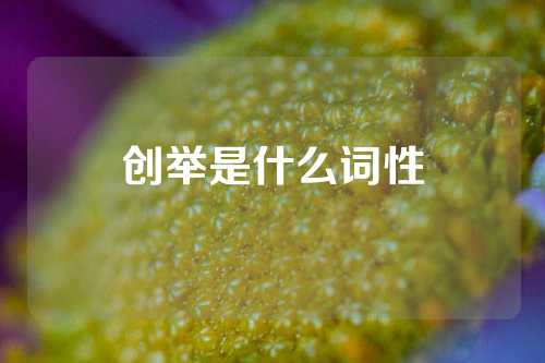 创举是什么词性