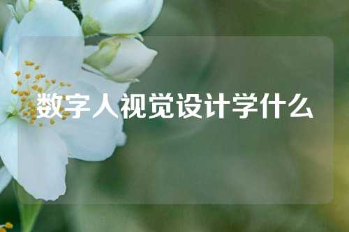 数字人视觉设计学什么