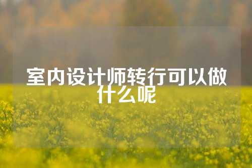 室内设计师转行可以做什么呢